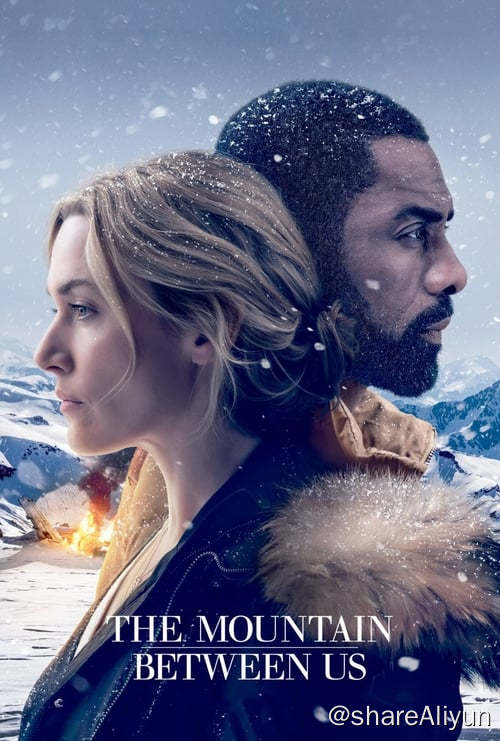名称：远山恋人 (2017)描述：影片讲述了在一次飞机失事后，两位素不相识的男女必须携手，在冰雪覆盖的无人之地死亡斗争、互相扶持并相恋