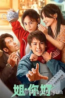 名称：姐，你好 4K60FPS&4K_TV高码描述：该片讲述了单亲家庭长大，一心想要创业逆袭，但却总是四处碰壁、负债累累的青年林渊，意外发现了一个价值2亿的古董茶壶的线索，并因此意外回到1998年开启逆袭人生的故事