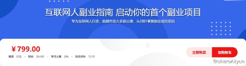 名称：互联网人副业指南 传授思维与方法 启动你的首个项目描述：专为互联网人打造，超越市面大多副业课，从0到1掌握副业成功密码