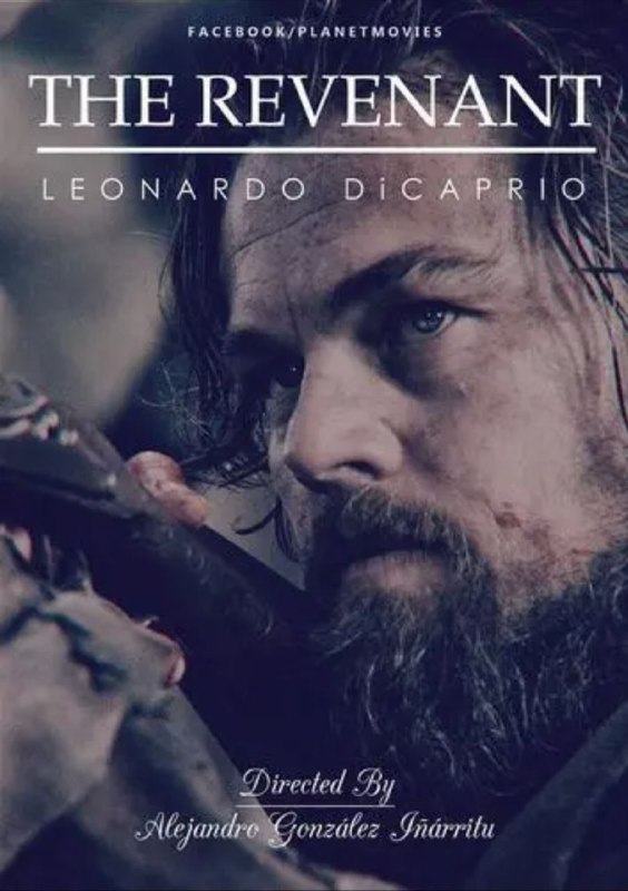 名称：荒野猎人(2015) 4K SDR描述：休·格拉斯（莱昂纳多·迪卡普里奥 Leonardo DiCaprio 饰）是一名皮草猎人，在一次打猎途中被一头熊殴打成重伤后被同行的乘船船长安德鲁·亨利（多姆纳尔·格里森 Domhnall Gleeson 饰）救下，船长雇佣了两个人约翰·菲茨杰拉德（汤姆·哈迪 Tom Hardy 饰）和吉姆·布里杰（威尔·保尔特 Will Poulter 饰）来照顾他