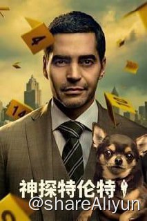 名称：特伦特探员(2023)描述：本剧改编自卡琳·斯劳特所著的《纽约时报》畅销小说“威尔·特伦特系列”