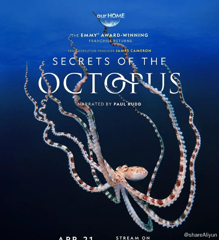 名称：【纪录片】《章鱼的秘密》全3集-2024描述：豆瓣8.3艾美奖肯定《鲸之谜》制作团队最新力作