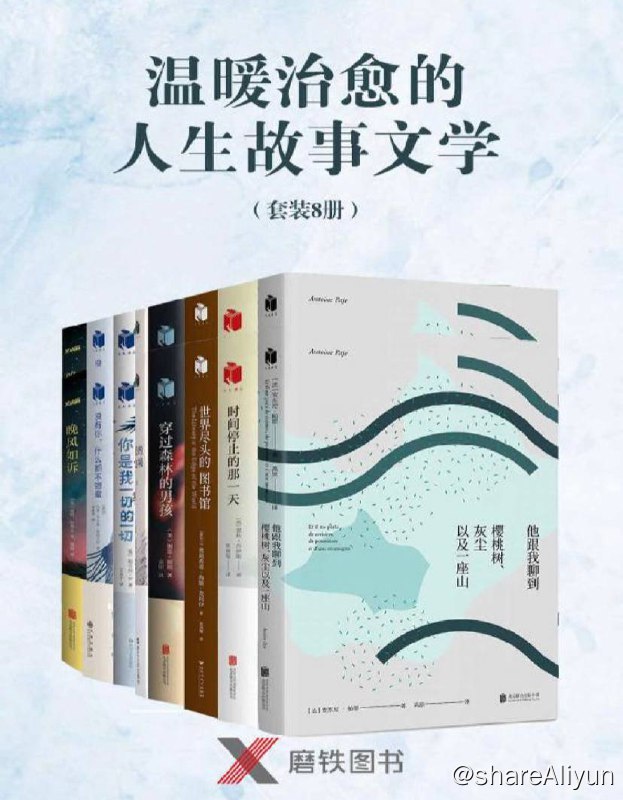 名称：【共8册】 温暖治愈的人生故事文学 | 电子书籍描述：温暖治愈的人生故事文学（套装8册）（连续盘踞《纽约时报》畅销书排行榜53周《你是我一切的一切》、《一个人的朝圣》作者蕾秋•乔伊斯最新力作横扫各大榜单的《时间停止的那一天》、伯恩斯坦奖等10项大奖加冕《爱的边境》等！带你体味人生感动人性！）链接：
