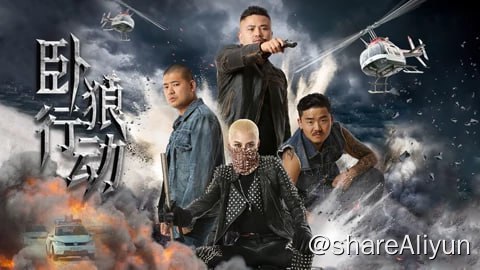 名称：卧狼行动(2023) 4K描述：一天，边防部队追踪国内最大毒枭组织的一批价值千万的毒品，被刘老三团伙抢走，瞬间引起黑白两道的高度重视