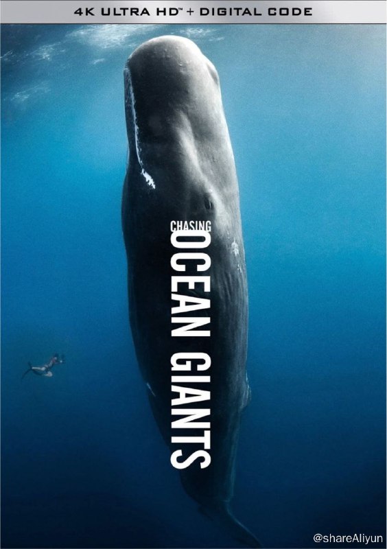 名称：追踪海洋巨兽 S1(2021) 4K 中英硬字幕描述：抹香鲸的非凡智慧、黄鳍金枪鱼的惊人速度、座头鲸的诡异叫声、罕见的“蝠鲼龙卷风”……面对神秘的海洋世界，人类的认知是有限的