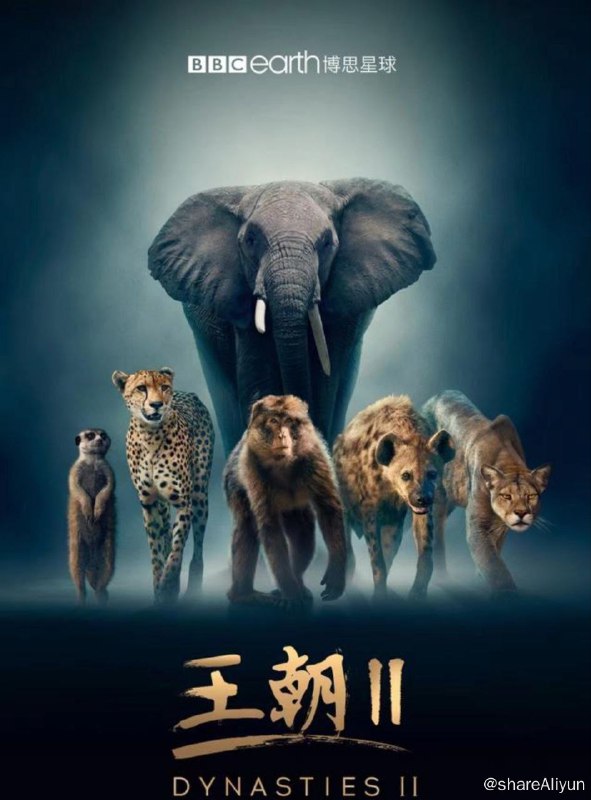 名称：王朝 S2(2022) 4K HLG 中字外挂字幕描述：在动物家族奋力构建各自的传世王朝时，每一个温情时刻，每一段凄美故事，每一次心碎背叛，都引人入胜，为观众献上沉浸式的观看体验