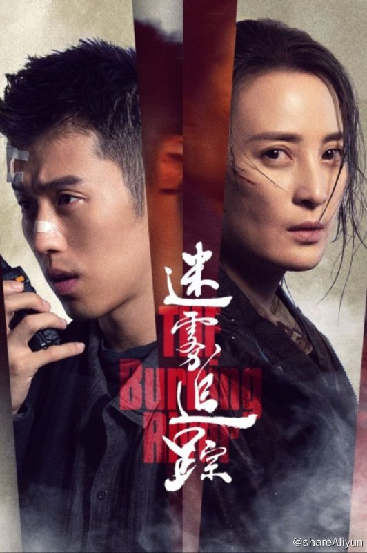 名称：迷雾追踪 (2020) 4K描述：西南一座小城发生了两起离奇谜案，蒋勤勤饰演的女警林雨虹克服重重困难，抽丝破茧侦破案件的过程