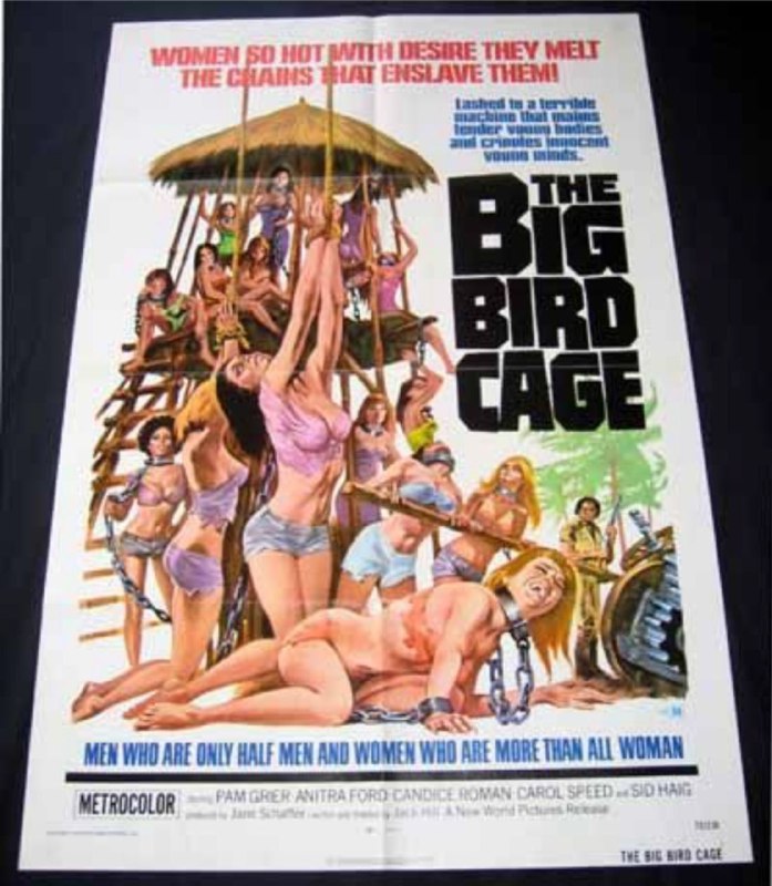 名称：大鸟笼 1080P描述：一个秘密监狱，关押的全是性感美女，穿的跟比基尼一样，女囚们每天遭受非人待遇，这尺度绝了