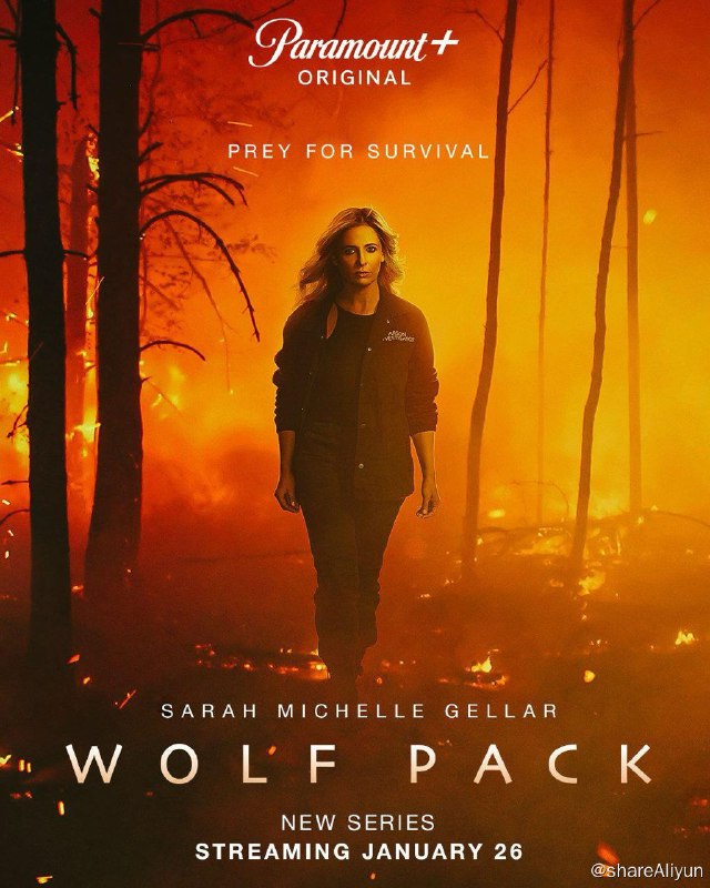 名称：狼群 Wolf Pack描述：一个加利福尼亚州的山火唤醒了一种可怕的超自然生物，从而永远改变了一名少年和一名少女的生活