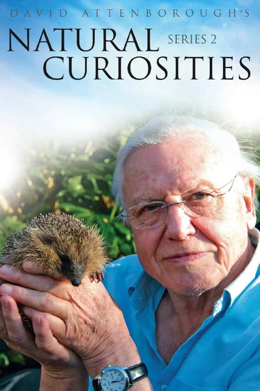 名称：自然趣闻 第二季 David Attenborough's Natural Curiosities Season 2 (2014)描述：广播界传奇人物大卫·阿滕伯勒爵士 (Sir David Attenborough) 带着他屡获殊荣的大卫·阿滕伯勒 (David Attenborough) 的《自然奇珍异宝》(Natural Curiosities) 的全新独家第二季回归