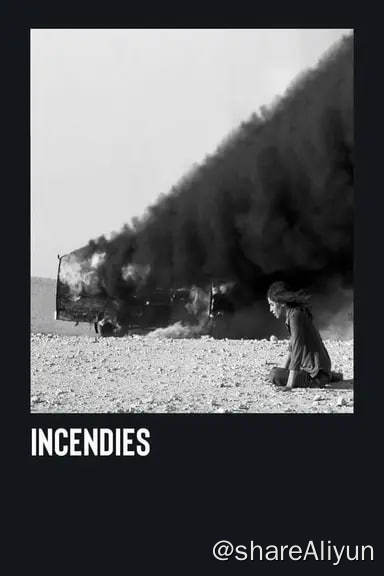 名称：焦土之城(2010) 1080p原盘 外挂简中描述：  双胞胎姐弟珍妮（梅丽莎·德索蒙斯-波林 Mélissa Désormeaux-Poulin饰）跟西蒙（马克西姆·高德特 Maxim Gaudette饰）收到过世的母亲娜瓦尔（卢布娜·阿扎宝 Lubna Azabal饰）的遗嘱，可当宣读完内容之后，两姐弟却一时难以接受这样的遗嘱：一份是写给他们从未蒙面的父亲；一份是写给她的第三个孩子——他们更是不知道这个哥哥的存在