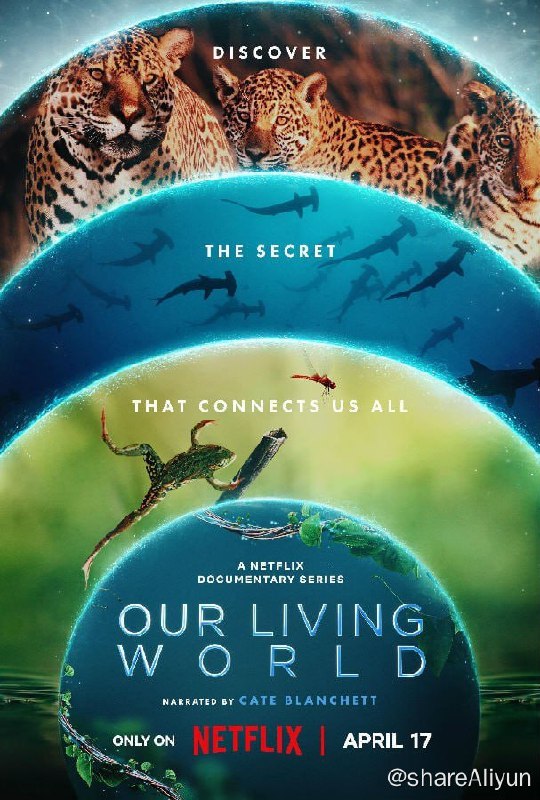 名称：我们的生物世界 Our Living World 2024 1080简繁描述：该纪录片系列为《全球绝美国家公园》艾美奖获奖班底最新力作，为你揭晓一个神秘的联系网络，这不仅聚集我们众人，也维系了地球上最神奇的现象：生命