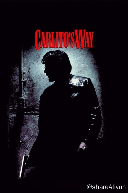 名称：情枭的黎明 (1993) 4K HDR 中字外挂字幕描述：卡利多将这笔钱入股到一家名为天堂乐园的夜总会后，他开始寻找他的女人，凯尔