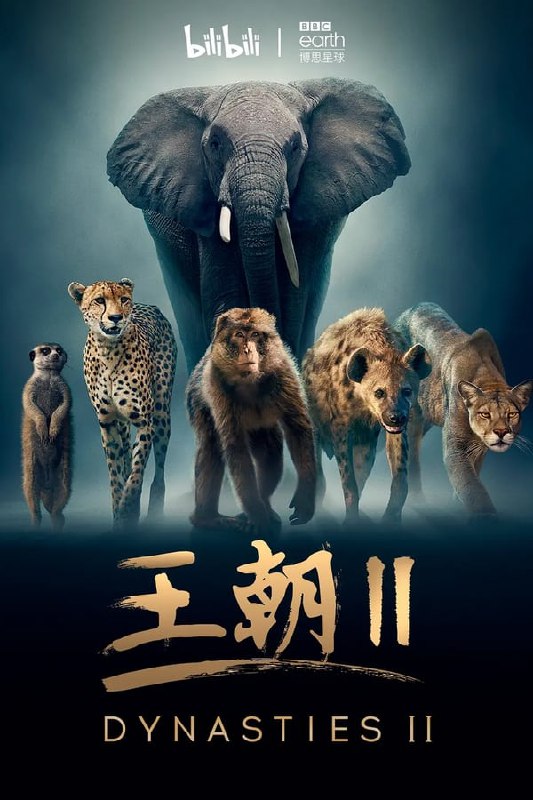 名称：王朝 2（中配版）描述：从巴塔哥尼亚冰天雪地的安第斯山脉，到赞比亚广袤无垠的平原，再到乞力马扎罗山山麓的辽阔草原，《王朝II》重磅回归——这部系列片比前作更精彩纷呈，内容一波三折，从新颖的角度为观众展现一群极具魅力的动物不为人知的生活面貌