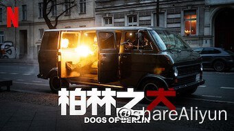 名称：柏林之犬描述：两名警察调查一位土耳其裔德国足球明星的谋杀案，其中一人与黑道的联系使案件受到了争议