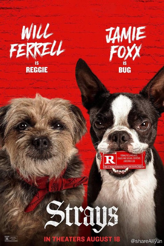 名称：流浪狗 Strays (2023) 1080p 高码 DDP5.1 外挂双语描述：该片为真人和CGI结合的R级喜剧片，讲述被遗弃的小狗雷吉和其他流浪狗联手报复前主人的故事