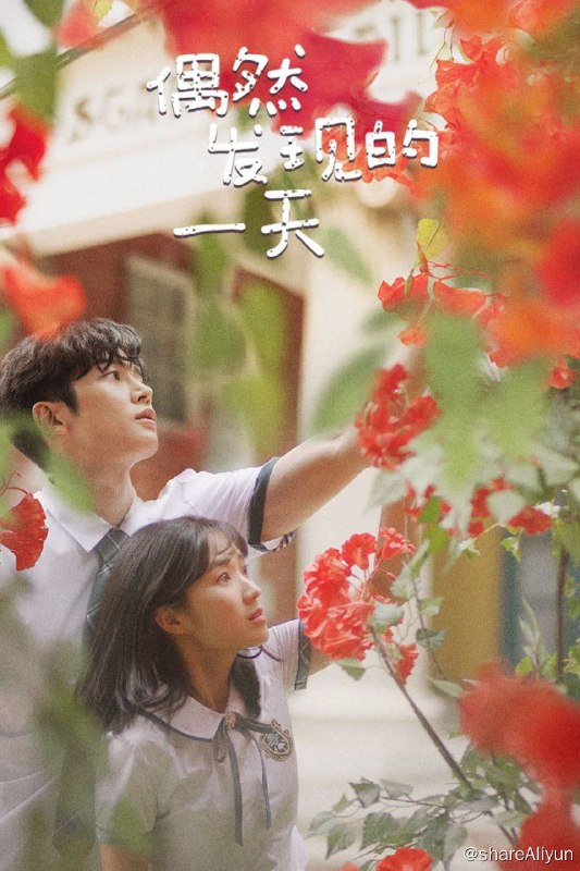 名称：偶然发现的一天（2019）描述：该剧翻拍自人气网漫，是一部讲述奇幻校园题材的浪漫爱情片，讲述意识到自己只是校园漫画中的配角的檀吴违背既定的剧情并实现爱情的过程