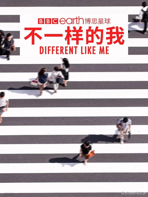 名称：不一样的我 第一季 (2018) 1080描述：这部纪录片是一群特殊的人