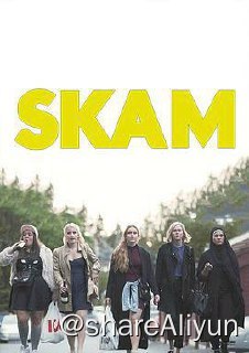 名称：X 羞耻1-5季（挪威版）描述：在奥斯陆Hartvig Nissens上高中的一群年轻人的青春故事，每一季变换一个主角链接：