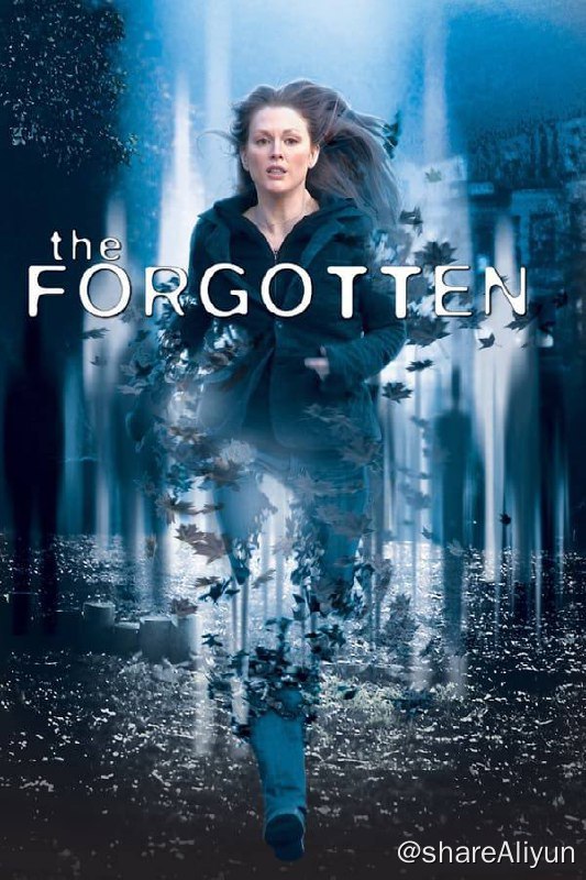 名称：灵异拼图(2004) 1080P REMUX 外挂中字描述：一次飞机失事让泰莉•派瑞塔(朱莉安•摩尔饰)失去了年仅8岁的儿子，对儿子的牵心挂念严重摧毁了她的健康，与丈夫的日渐疏远也令婚姻趋于解体边缘