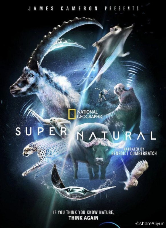 名称：超凡动物奇观 S1 (2022) 4K HDR 中字硬字幕描述：本片由詹姆斯·卡梅隆监制，由荣获奥斯卡奖提名和英国电影学院奖的本尼迪克特·康伯巴奇配音