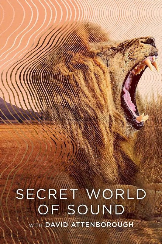 名称：大卫·艾登堡：大自然的声音 Secret World of Sound with David Attenborough (2024)描述：声音是自然的语言