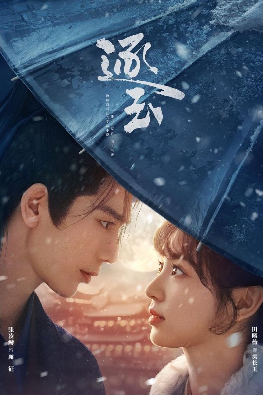 名称：逐玉 (2026) 4K DoVi 高码率 [HDR.Vivid.60fps] [杜比全景声] [更新28集]描述：该剧改编自晋江文学城团子来袭的小说《逐玉》