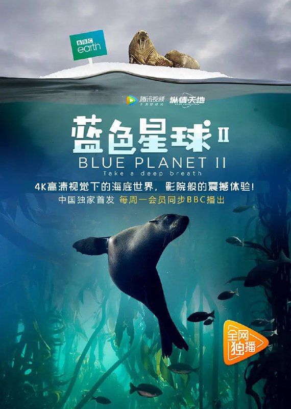 名称：蓝色星球 第二季 Blue Planet Season 2 (2017)描述：《蓝色星球II》将由大卫·爱登堡爵士主持