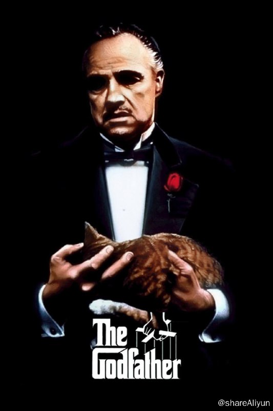 名称：教父 (三部曲) 4K HDR&DV + 1080p 国英音轨 内封特效 FRDS 蓝光版【高分经典 Top250】【刮削】描述：电影《教父》是由弗朗西斯·福特·科波拉执导，马龙·白兰度、阿尔·帕西诺、罗伯特·唐尼等主演的犯罪黑帮电影