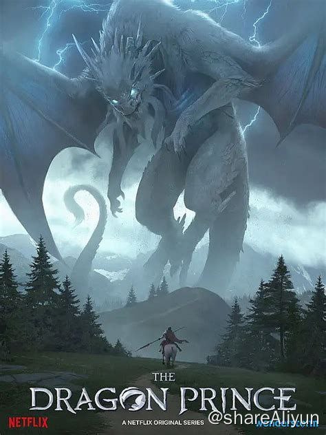 名称：龙王子（5季）描述：在沙迪亚这片神奇土地上，魔法力量有六大源头：即太阳、月亮、星辰、天空、地球和海洋
