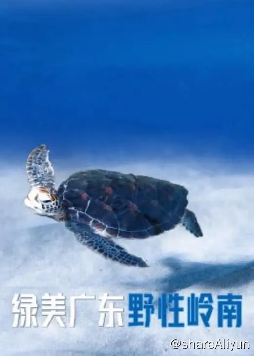 名称：绿美广东·野性岭南 (2023) 1080P描述：跟随镜头，大气磅薄的山野海洋、大厦栋梁的摩登都市、大爱无声的生命守护……属于绿美广东的生态画卷，正在徐徐展开