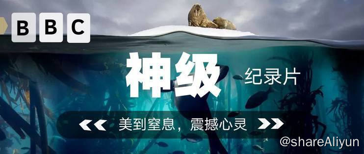 名称：BBC纪录片合集描述：BBC纪录片合集链接：