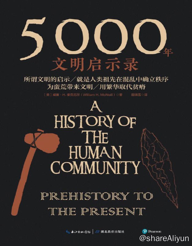 名称：5000年文明启示录 | 电子书籍描述：《5000年文明启示录》作者以其全球史观，将人类不同社会的历史整合为一个整体，从全球的角度来考察世界各个地区人类文明的产生与发展
