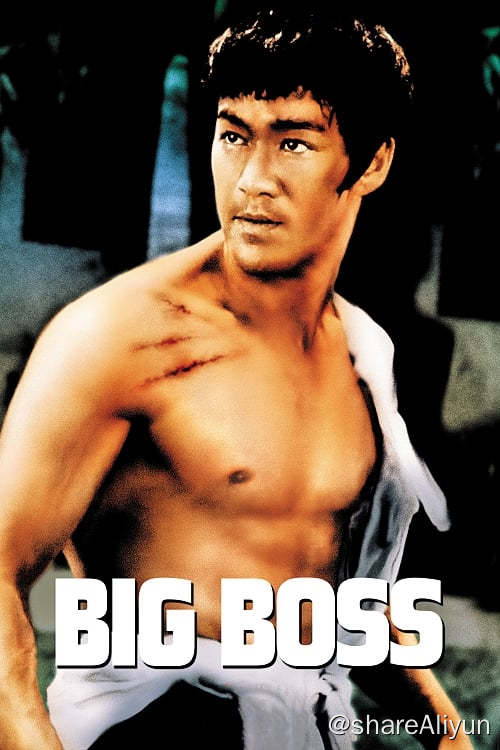 名称：唐山大兄 (1971)描述：因家乡年景不好，青年郑潮安（李小龙 饰）跟随三叔远赴泰国，郑在当地华工许剑（田俊 饰）的帮助下，得到了一份冰厂的工作