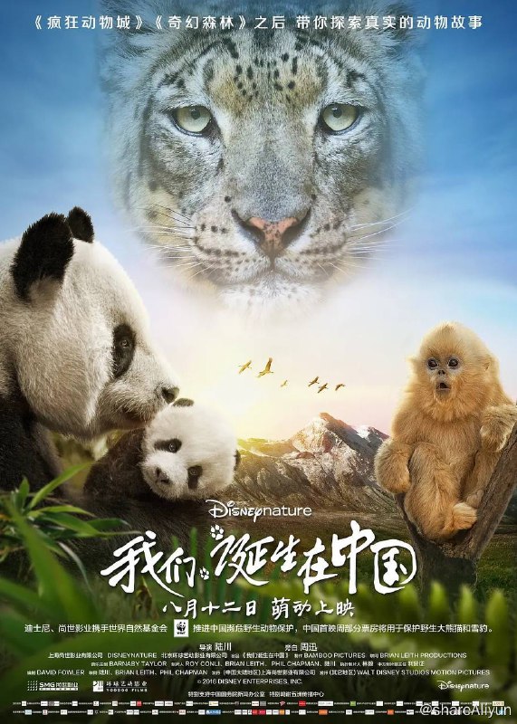 名称：我们诞生在中国 (2016) 纪录片 1080p BluRay 国英双音轨 内封多字幕描述：该片以四川大熊猫、三江源雪豹、川金丝猴三个中国独有的野生动物家庭为主线，讲述了动物宝宝们各自出生、成长的感人故事链接：