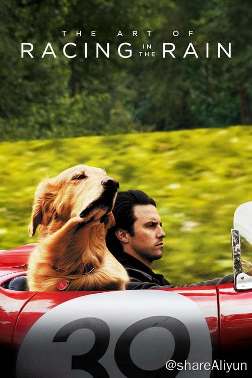 名称：我在雨中等你 (2019)描述：影片改编自Garth Stein所著同名畅销小说，聚焦一只名叫恩佐的狗狗，和他的主人——职业赛车手Denny Swift，恩佐跟着Denny学会了很多生活哲学