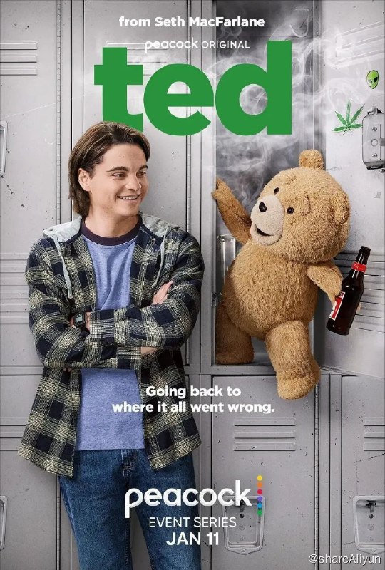 名称：T 泰迪熊 剧版描述：合家欢电视剧，春晚不好看，看它看它看它