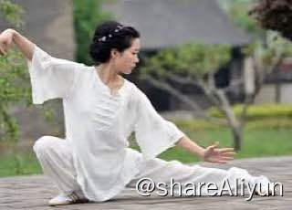 名称：108式传统杨式太极拳描述：如题链接：