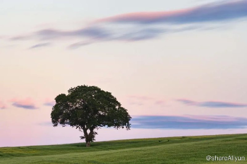 名称：4k壁纸 2023.05描述：4k壁纸 2023.05链接：