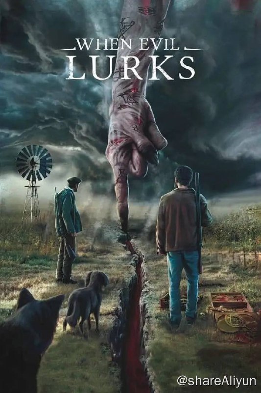 名称：当邪恶潜伏时 When Evil Lurks (2023) 1080p 高码 外挂机翻双语【恐怖片】描述：一对兄弟在他们的庄园附近发现了一具残缺不全的尸体，于是召集当地人一起调查