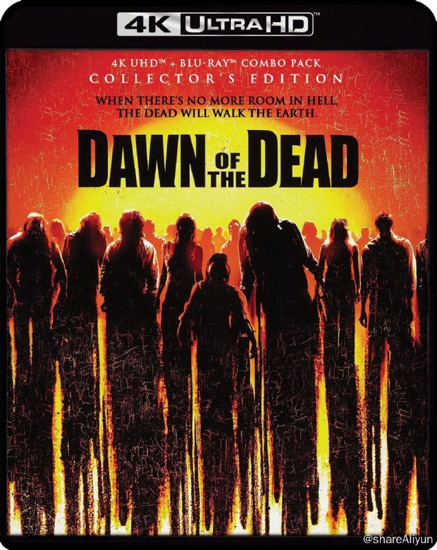 名称：活死人黎明(4k原盘杜比视界)描述：该片翻拍自1978年的同名影片，故事讲一夜之间全世界陷入一个史无前例的大型灾区，一种致命的瘟疫令死去的人进化成一头吃活人的丧尸