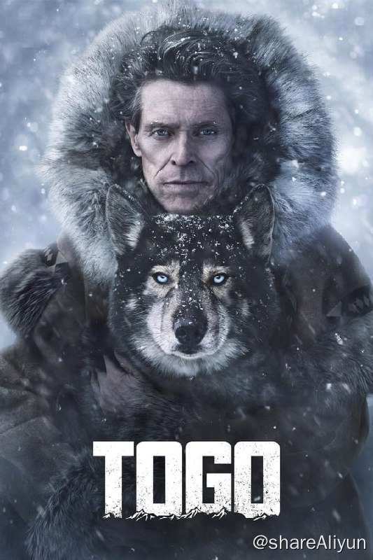 名称：多哥(2019)4K 内封中字描述：1924年年底，诺姆市一个2岁小孩生病，医生诊断其患有扁桃体炎，这种疾病通常不会有生命危险，然而这个小孩成为例外，接下来很多孩子都被诊断患上了扁桃体炎，有几个不幸离世，医生最终确认这种病症是白喉