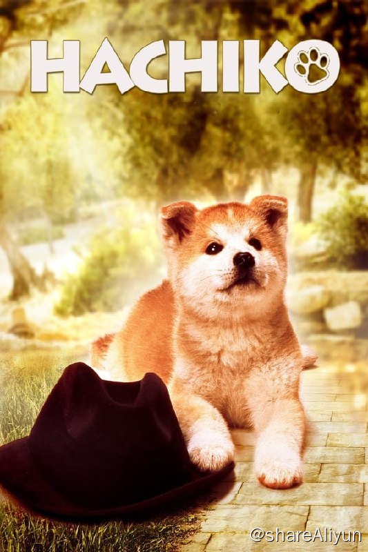名称：忠犬八公物语(1987)REMUX 国日双语 内封中字描述：1923年，日本秋田县大馆市天降大雪，近藤家纯种秋田犬产仔，赠与县土木科长间濑