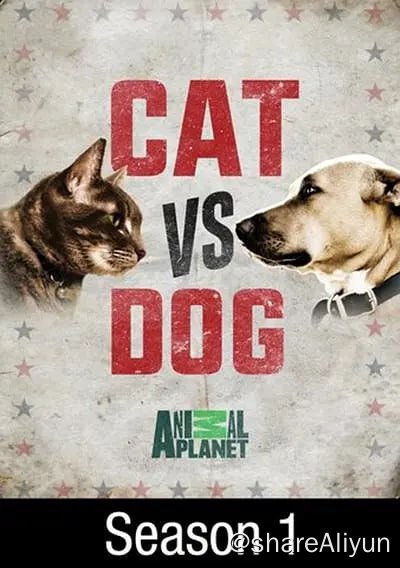 名称：猫狗大战 Cat vs Dog (2017) 1080描述：猫狗大战 Cat vs Dog链接：