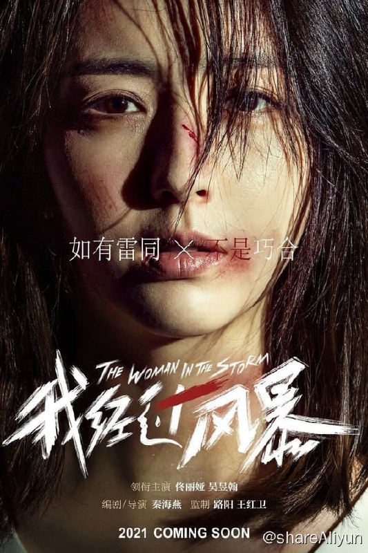 名称：我经过风暴(2023) 4K高码描述：在中国，平均每7.4秒就有一位女性遭受家暴