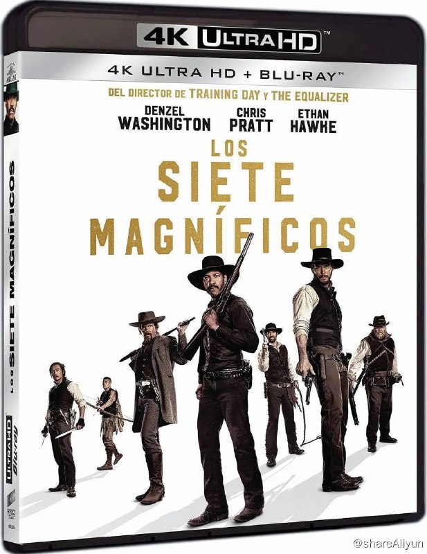 名称：豪勇七蛟龙 4K原盘REMUX 内封字幕描述：故事发生在位于罗斯克里克的一座矿业小镇上，艾玛（海莉·贝内特 Haley Bennett 饰）和丈夫马修（马特·波莫 Matt Bomer 饰）在这里过着与世无争的生活，某日，镇里的恶霸鲍勃（彼得·萨斯加德 Peter Sarsgaard 饰）枪杀了马修，没有人敢追究他的责任，只有幸存的艾玛在心里默默的发誓，一定要让鲍勃血债血偿