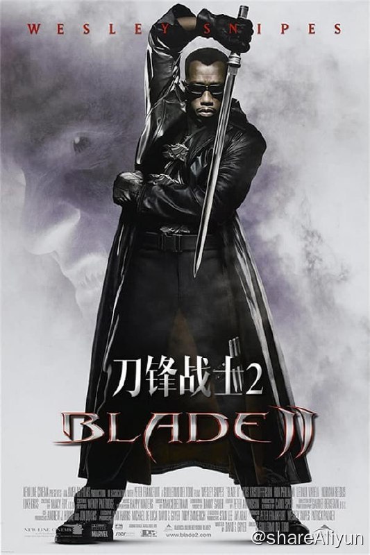 名称：刀锋战士2（2002）内封中字描述：在这个纷扰复杂的世界上，灾难总是从最隐蔽的角落里出现，正义与邪恶的战争也永远会在不知名的地方继续着