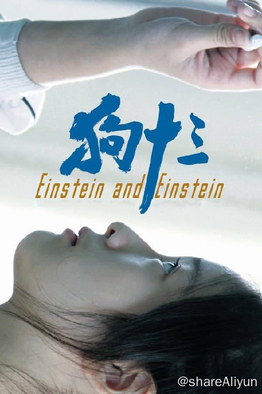 名称：狗十三(2013) 4K 杜比视界 硬字幕描述：李玩刚上初中，父亲再婚与继母生了个弟弟，父亲焦虑着该如何告知李玩此事，却意外因课业起了争执，为此父亲买一只小狗哄劝女儿