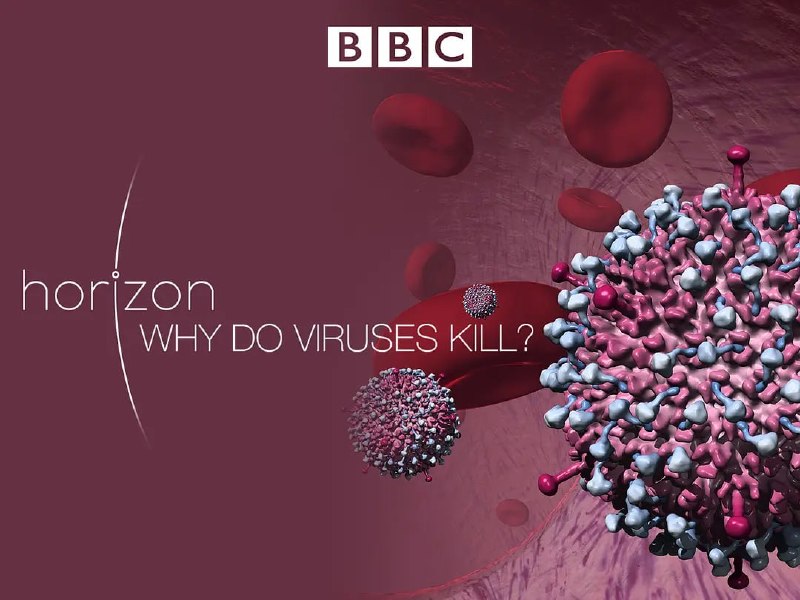 名称：病毒为何致命 Why Do Viruses Kill (2010)描述：就在几个月前，全世界还对一种新出现的疾病感到恐惧，这种疾病有可能杀死数百万人