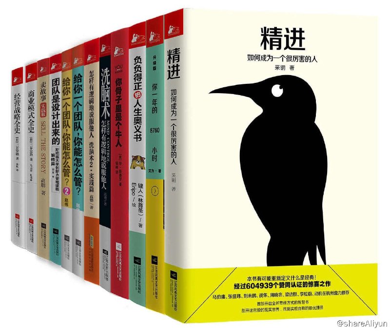 名称：职场精进：如何成为一个很厉害的管理者共12册描述：《职场精进：如何成为一个很厉害的管理者.共12册》新东方讲师&奇葩说辩手艾力，让你学会如何提升自己，如何做好团队管理者